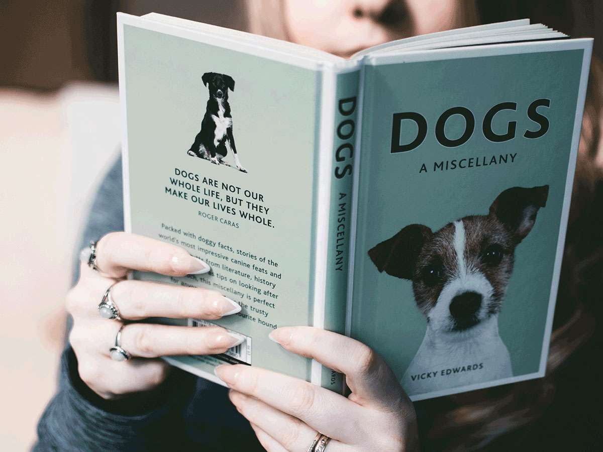 Things To Know About Readers