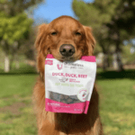 Get Your Paws on Free Sustainable Dog Treats from Shameless Pets