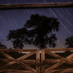 Discover Farm Star Living