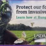 Free Invasive Species Resources: Tattoos, Bookmarks, and Magnets