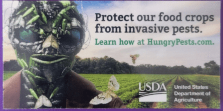 Free Invasive Species Resources: Tattoos, Bookmarks, and Magnets