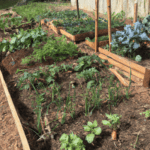 10 Creative Ways to Live Frugally While Being Healthy