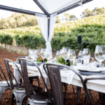 How to Experience Napa Valley on a Budget