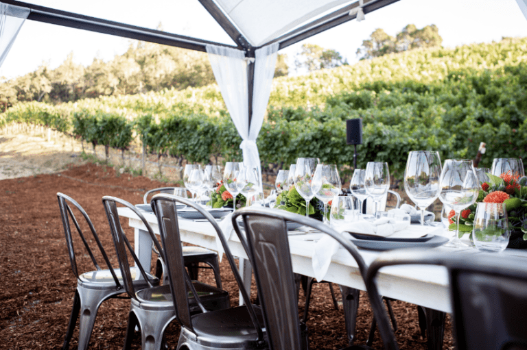 How to Experience Napa Valley on a Budget
