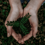 Sustainable Grocery Shopping with Taylor Farms and Earthbound Farm