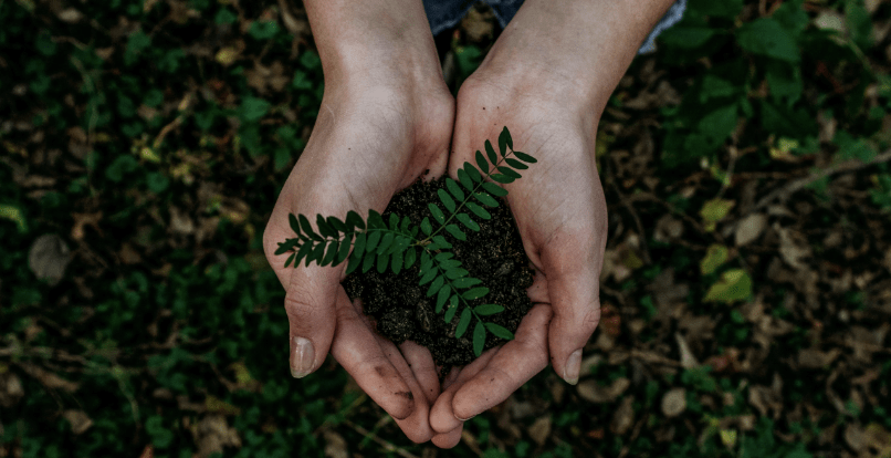 Sustainable Grocery Shopping