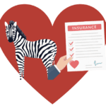 How Zebra Insurance Can Help You Live a Frugal Life Without Sacrificing Coverage