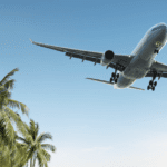 TripAdvisor for the Thrifty: Because Cheap Travel is the Best Travel (and We’re Here to Help)