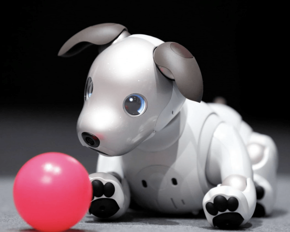 Aibo Robot Dog