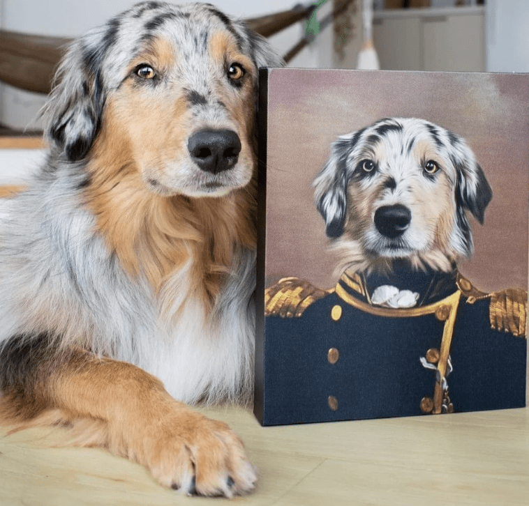 Nationwide #LaughItUpFurballContest