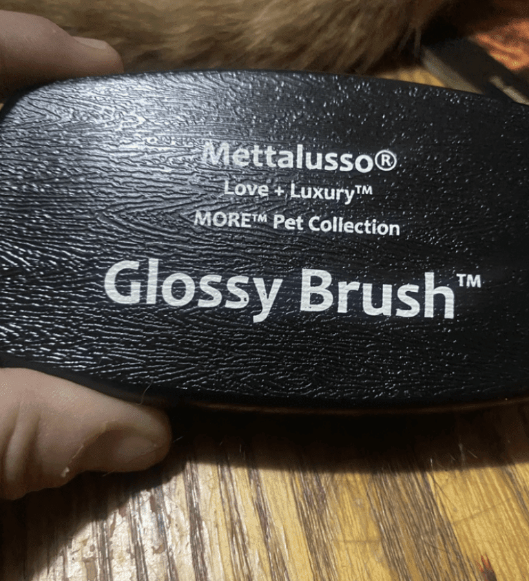 Get Your Paws on a Fantastic FREE Glossy Brush Pet Grooming Dog Brush Today – Don’t Miss Out