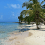 Discover the Best Budget-Friendly Beaches in the USA for Your Next Vacation
