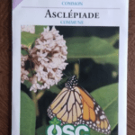Free Pollinator Seed Packets for Frugal Gardeners