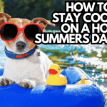 How to Stay Cool on a Hot Summer Day