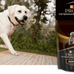 Request Free Purina Pro Plan Veterinary Supplements Joint Care for Canines