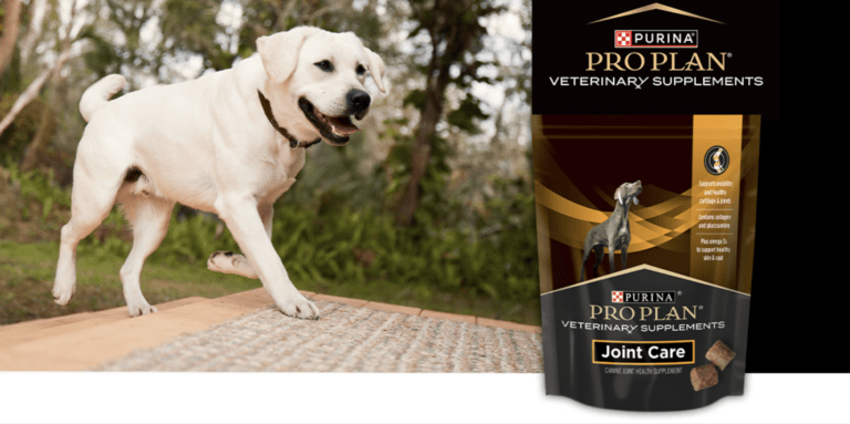 Request Free Purina Pro Plan Veterinary Supplements Joint Care for Canines