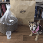 How Pet Wants Makes Fresh, Healthy Pet Food – Request a Free Sample