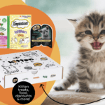 Guide to Kitten Care: Instantly Win a KittenWise Box!