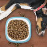 Midwestern Pet Foods Marketing, Sales Practices, and Product Liability Litigation Settlement: What You Need to Know