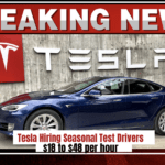 Tesla Hiring Seasonal Test Drivers: What You Need to Know