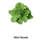 Grown Your Own Garden with Free Seeds