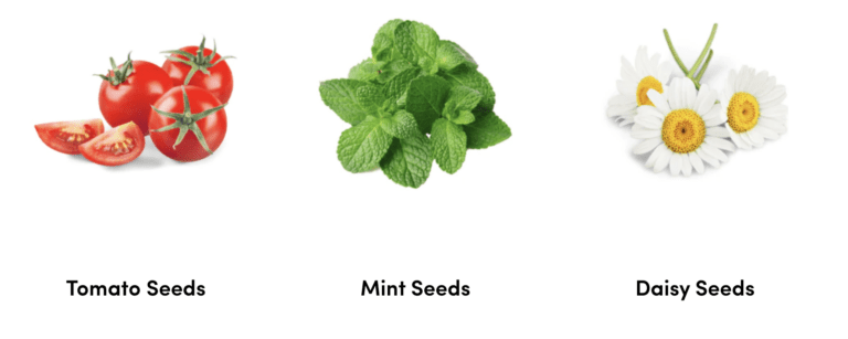 Grown Your Own Garden with Free Seeds