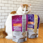 Raw Boost Mixers: The Perfect Multivitamin Pet Samples for Your Furry Friends