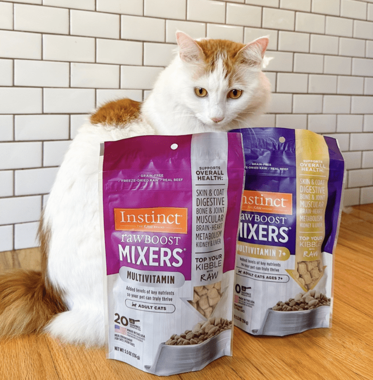 Raw Boost Mixers: The Perfect Multivitamin Pet Samples for Your Furry Friends