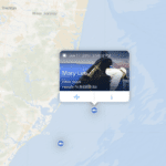 How OCEARCH is Revolutionizing Our Understanding of Sharks and Their Role in Ocean Conservation