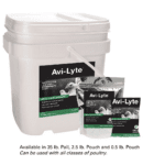 The Best Solution for Keeping Your Poultry Cool and Healthy This Summer: Free Avi-Lyte