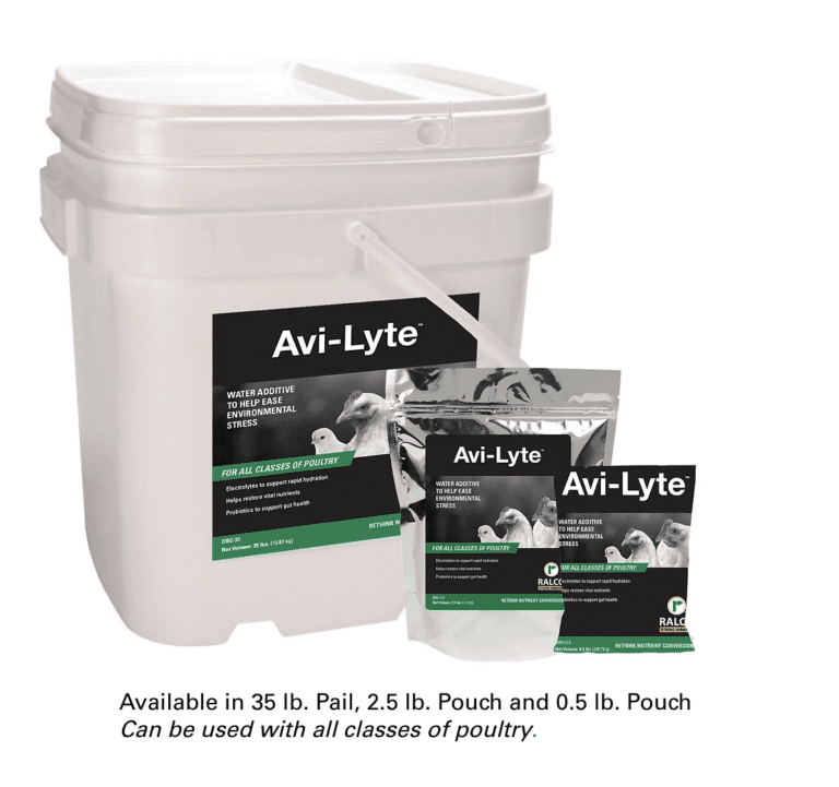 The Best Solution for Keeping Your Poultry Cool and Healthy This Summer: Free Avi-Lyte