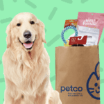 The Ultimate Guide to the DoorDash National Dog Day Sweepstakes