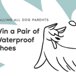 Vessi Everyday Classics Sneakers Giveaway: Step into Comfort and Style
