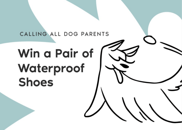 Vessi Everyday Classics Sneakers Giveaway: Step into Comfort and Style