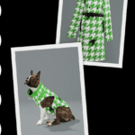 GREENIES Houndstoothless Sweepstakes: Win Stylish Trench Coats for You and Your Dog or Original GREENIES Dental Treats!