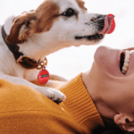 Get Your Free Purina Smart ID Tag and Keep Your Pet Safe!