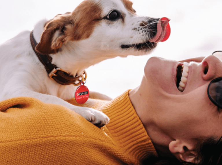 Get Your Free Purina Smart ID Tag and Keep Your Pet Safe!