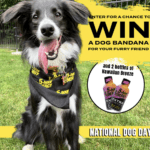 How to Win the 5-Hour Energy Dog Bandana Giveaway
