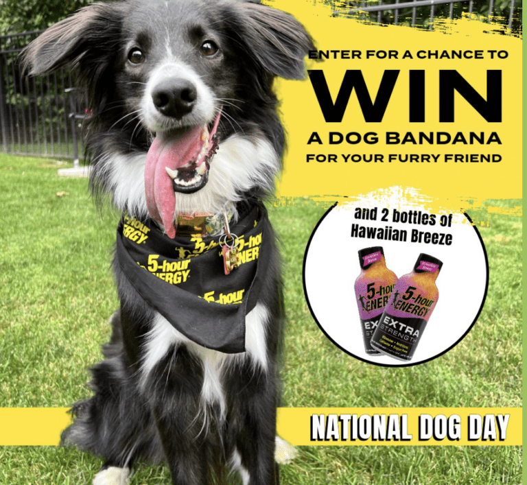 How to Win the 5-Hour Energy Dog Bandana Giveaway
