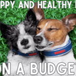 Nurturing a Happy and Healthy Pet on a Budget