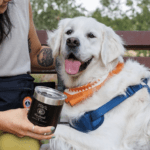 Tito’s Vodka For Dog People Sweepstakes: A Paw-some Giveaway