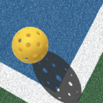 Everything You Need to Know About Pickleball