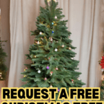 How to Request a Free Decorated Christmas Tree for Your Family