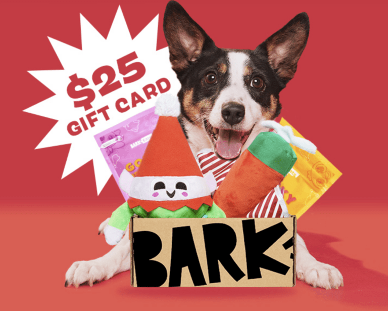 Spoil Your Dog and Yourself with a Super Chewer Box: Get a FREE $25 Target Gift Card!