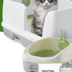 Purina x Fooji | Making The Holidays A Breeze Promotion