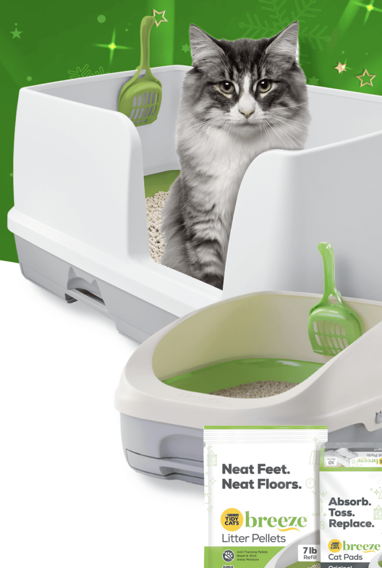 Purina x Fooji | Making The Holidays A Breeze Promotion