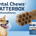 Apply to be a Blue Buffalo Dental Chews Chatterbox with Ripple Street!