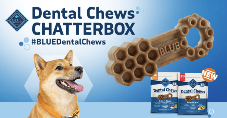 Apply to be a Blue Buffalo Dental Chews Chatterbox with Ripple Street!