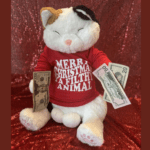 Win This Stuffed Cat and Cash Prize