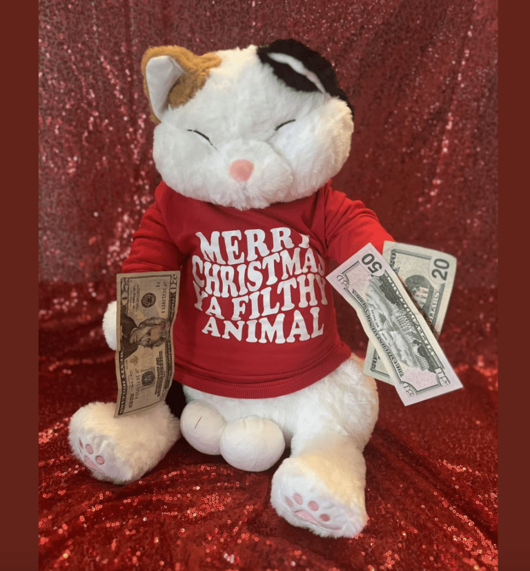 Win This Stuffed Cat and Cash Prize